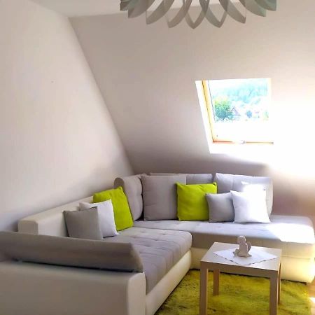 Widok Na Sniezke Apartment Milkow  Luaran gambar